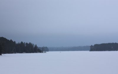 Tuesday February 23, 2016