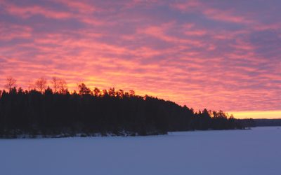 Thursday February 25, 2016