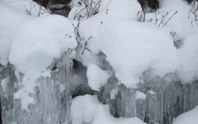 Tuesday, February 1, 2016