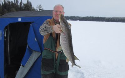 Saturday, February 6, 2016