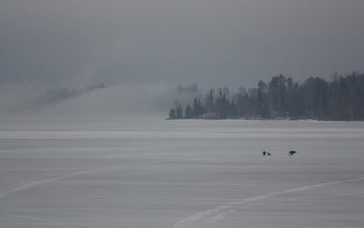 Monday March 14, 2016