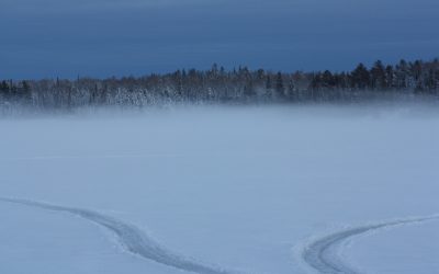 FridayMarch 18, 2016