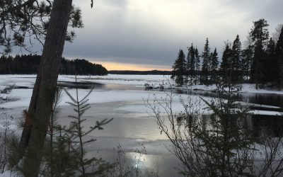 Tuesday March 1, 2016