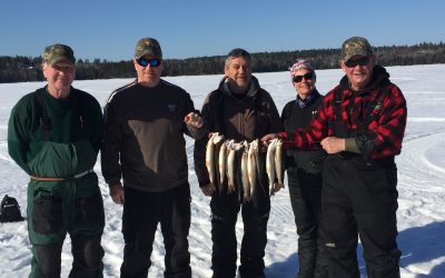 Tuesday March 8, 2016