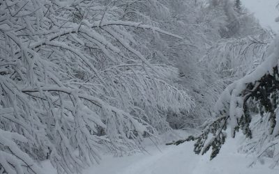 Thursday March 17, 2016