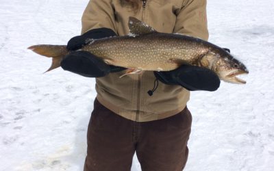 Monday March 21, 2016