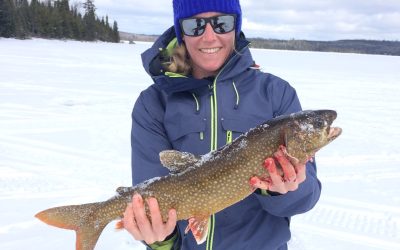 Wednesday March 23, 2016