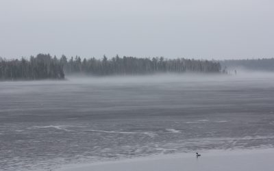 Thursday April 21, 2016