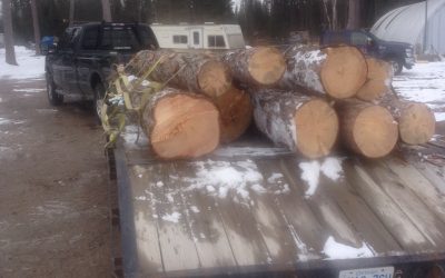 Tuesday April 12, 2016