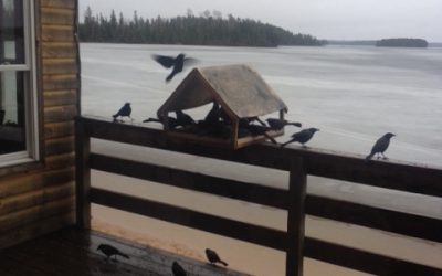 Monday April 18, 2016