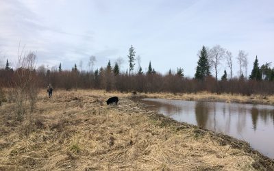 Monday April 25, 2016