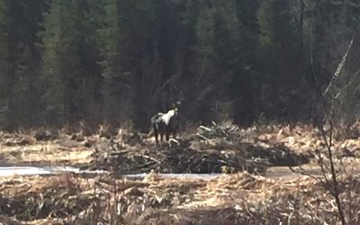 Wednesday April 20, 2016