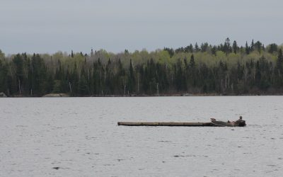 Thursday May 12, 2016