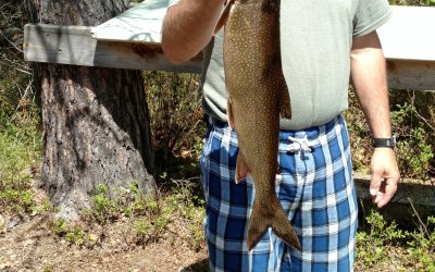 Thursday May 26, 2016