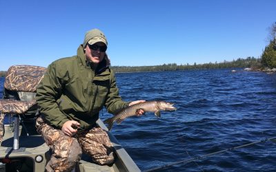 Wednesday May 4, 2016