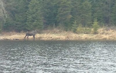 Thursday May 19, 2016