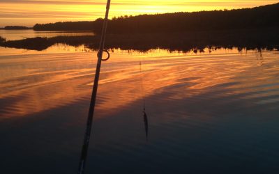 Tuesday May 24, 2016