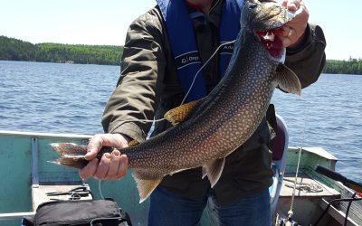 Saturday June 4, 2016