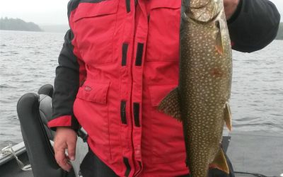 Tuesday June 15, 2016