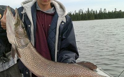 Friday June 24, 2016