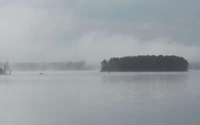 Wednesday June 8, 2016