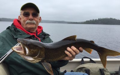 Wednesday June 1, 2016