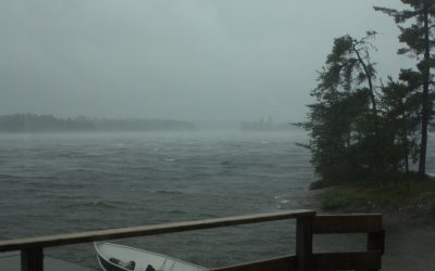 Monday June 20, 2016