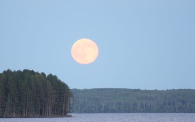 Tuesday June 21, 2016