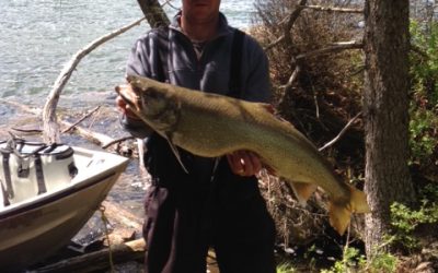 Sunday June 12, 2016