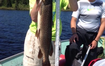 Tuesday June 7, 2016