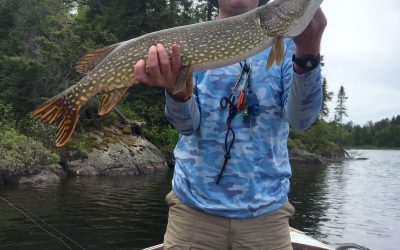 Saturday June 11, 2016