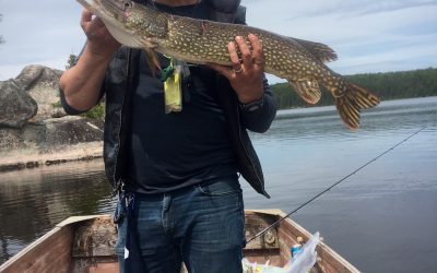 Tuesday June 14, 2016