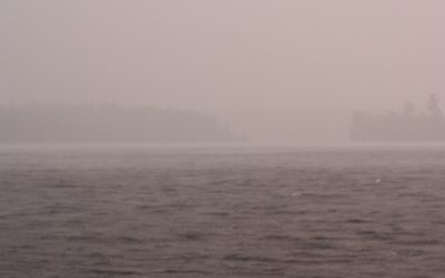 Wednesday July 13, 2016