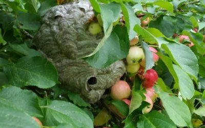 Tuesday August 20, 2016