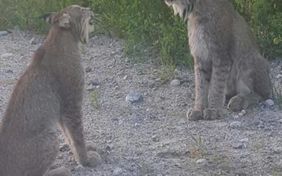 Thursday August 25, 2016