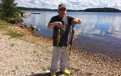 Tuesday August 2, 2016