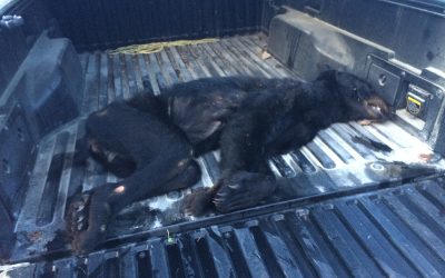 Tuesday August 30, 2016