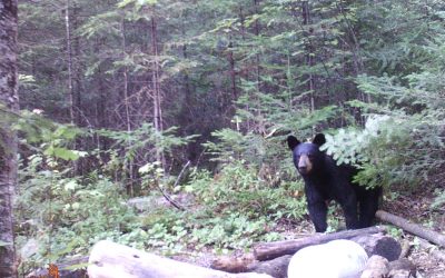 Friday August 26, 2016