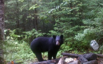 Saturday August 27, 2106