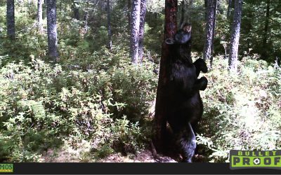 Tuesday September 6, 2016