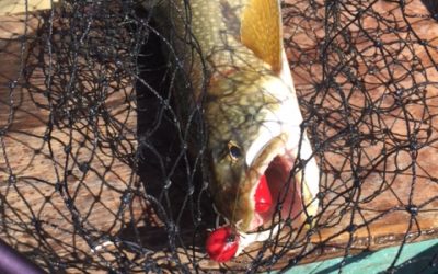 Friday September 9, 2016