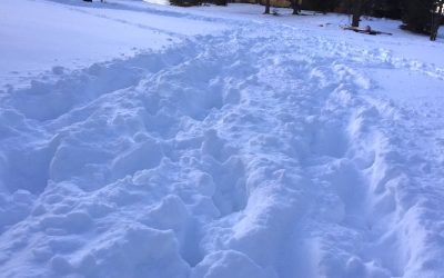 Sunday November 20, 2016