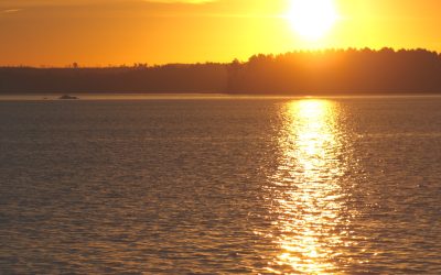 Wednesday November 9, 2016