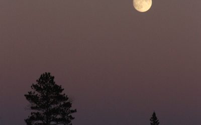 Sunday November 13, 2016