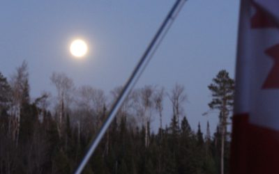 Tuesday November 15, 2016