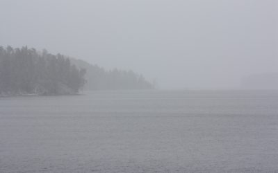 Friday November 18, 2016