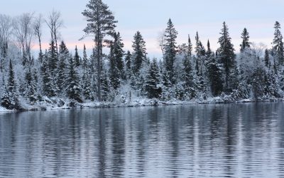 Thursday November 24, 2016