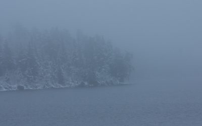 Friday November 25, 2016