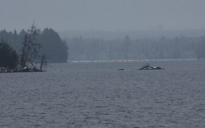 Saturday November 26, 2016