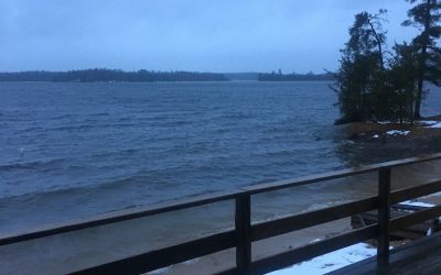 Monday November 28, 2016